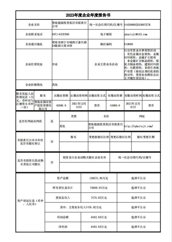 2023年度企業(yè)年度報(bào)告書1.png