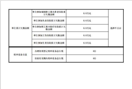 2023年度企業(yè)年度報(bào)告書3.jpg